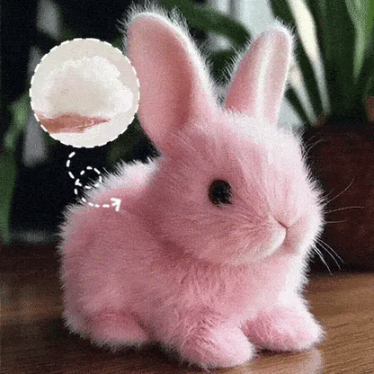 Hvězda francouzských domácností 🐰 Plyšová hračka BunnyBuddy™🎀 od Coeurva, realistická a roztomilá, přináší dětem radost.